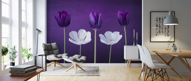PHOTOWALL / Tulips (e326366)