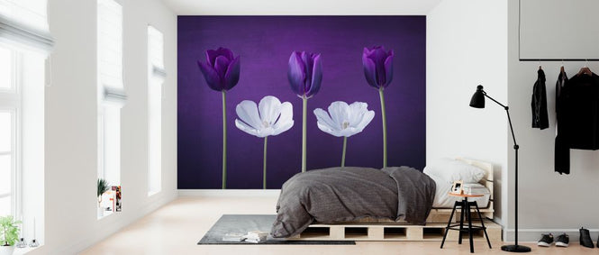 PHOTOWALL / Tulips (e326366)