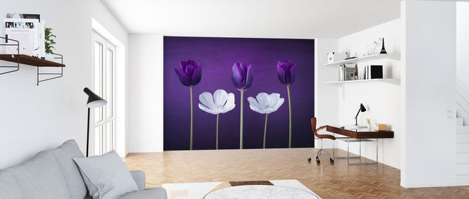PHOTOWALL / Tulips (e326366)