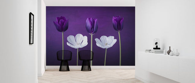 PHOTOWALL / Tulips (e326366)