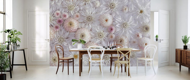 PHOTOWALL / Dahlias (e326377)