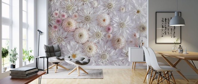 PHOTOWALL / Dahlias (e326377)