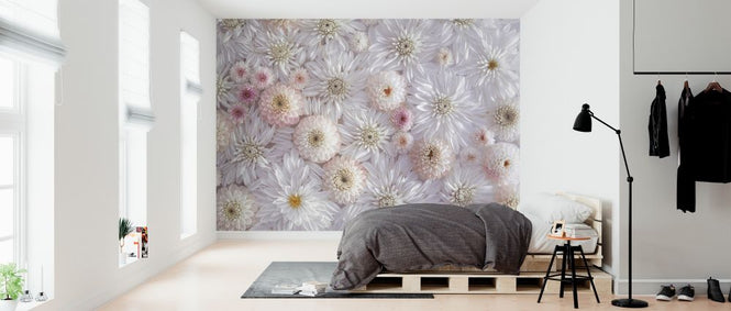 PHOTOWALL / Dahlias (e326377)