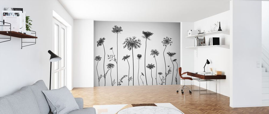 PHOTOWALL / Cow Parsley (e326380)