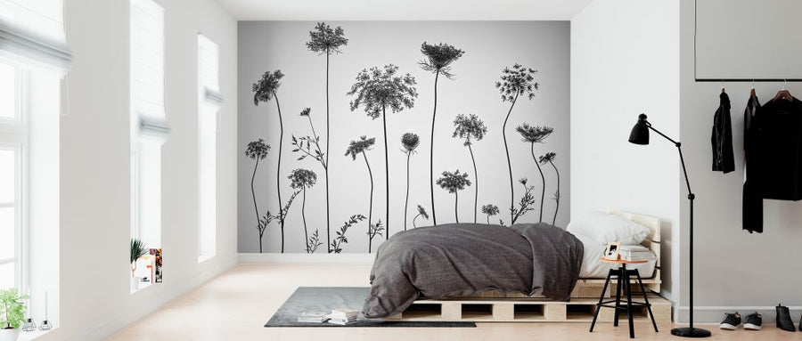 PHOTOWALL / Cow Parsley (e326380)