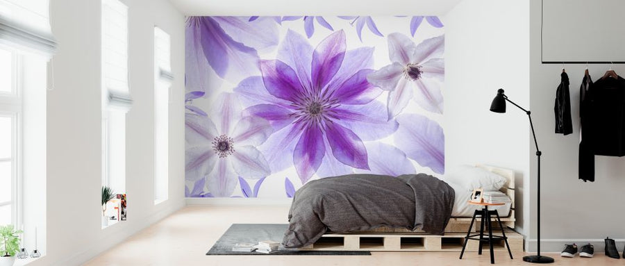 PHOTOWALL / Clematis (e326386)