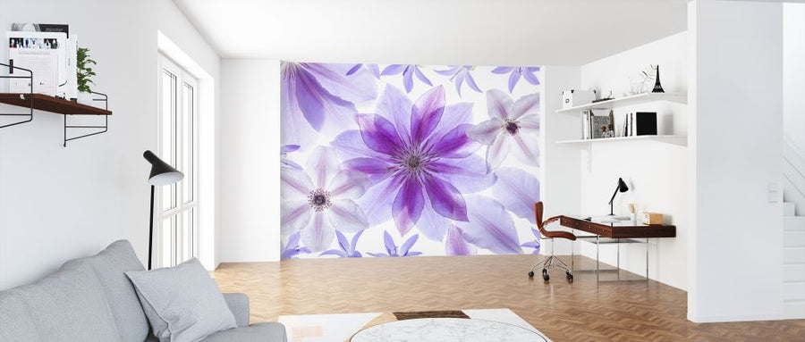 PHOTOWALL / Clematis (e326386)