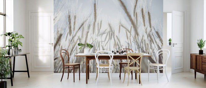 PHOTOWALL / Wheat Field (e326390)