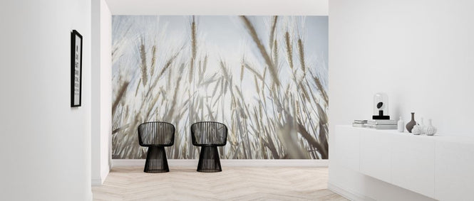 PHOTOWALL / Wheat Field (e326390)