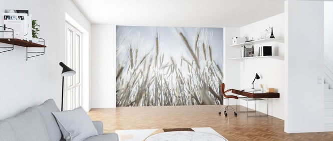 PHOTOWALL / Wheat Field (e326390)