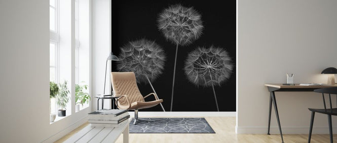 PHOTOWALL / Dandelion (e326392)