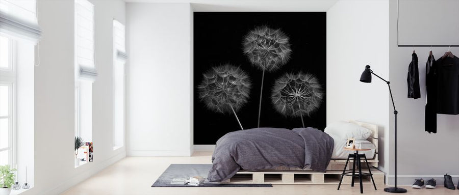 PHOTOWALL / Dandelion (e326392)