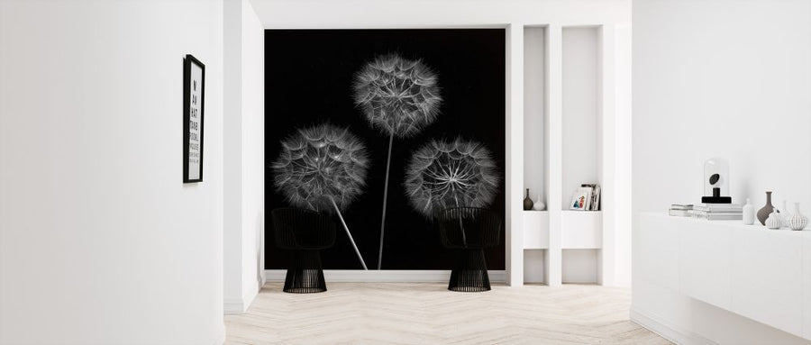 PHOTOWALL / Dandelion (e326392)