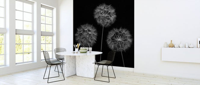 PHOTOWALL / Dandelion (e326392)