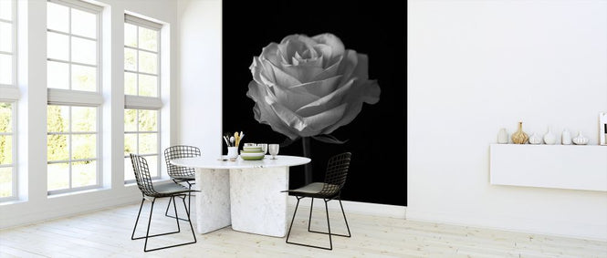 PHOTOWALL / Rose (e326393)