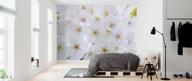 PHOTOWALL / Blossom (e326399)
