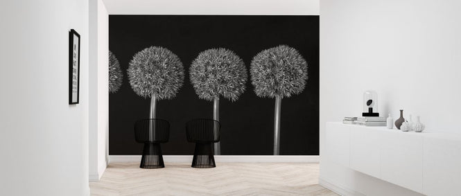 PHOTOWALL / Alliums (e326400)