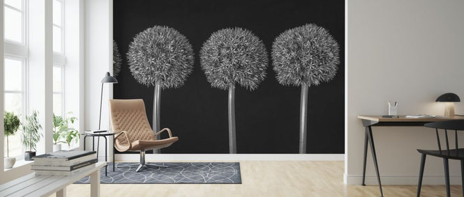 PHOTOWALL / Alliums (e326400)
