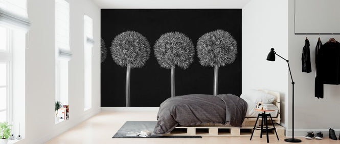 PHOTOWALL / Alliums (e326400)