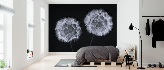 PHOTOWALL / Dandelion Clock (e326401)