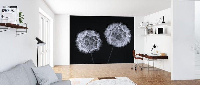 PHOTOWALL / Dandelion Clock (e326401)
