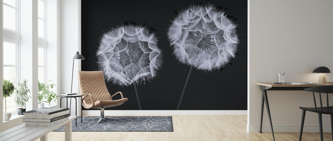 PHOTOWALL / Dandelion Clock (e326401)
