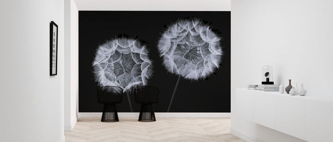 PHOTOWALL / Dandelion Clock (e326401)