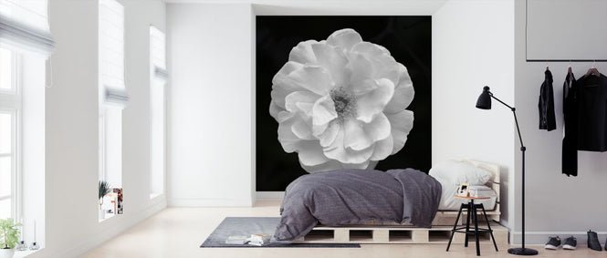 PHOTOWALL / Malmesbury (e326405)