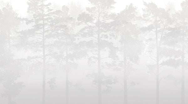 PHOTOWALL / Misty Pine Forest - Grey (e327620)