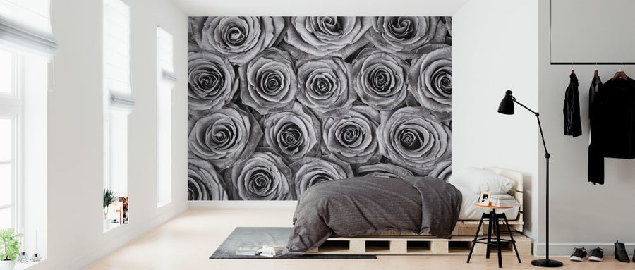 PHOTOWALL / Roses (e326421)