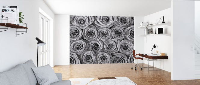 PHOTOWALL / Roses (e326421)