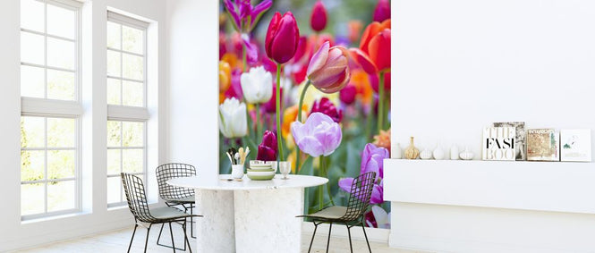 PHOTOWALL / Kuekenhof (e326450)