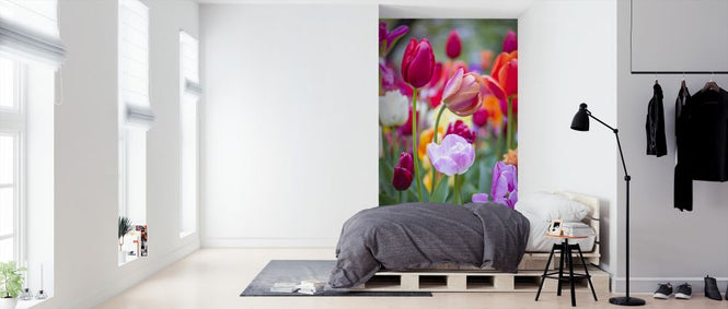 PHOTOWALL / Kuekenhof (e326450)