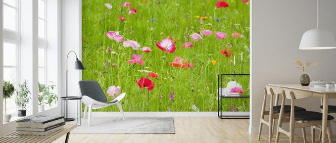 PHOTOWALL / Meadow (e326457)