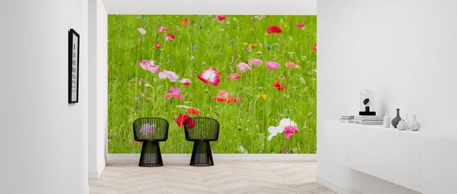 PHOTOWALL / Meadow (e326457)
