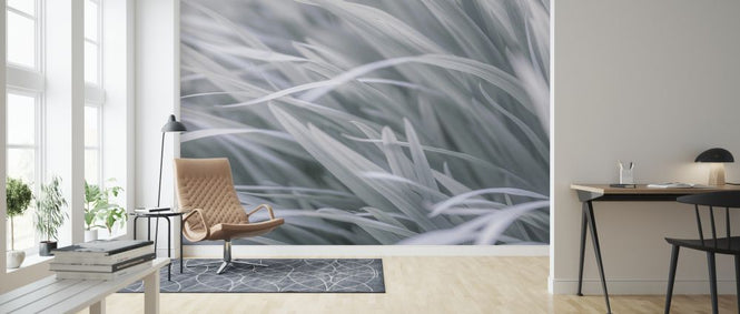 PHOTOWALL / Grass (e326455)