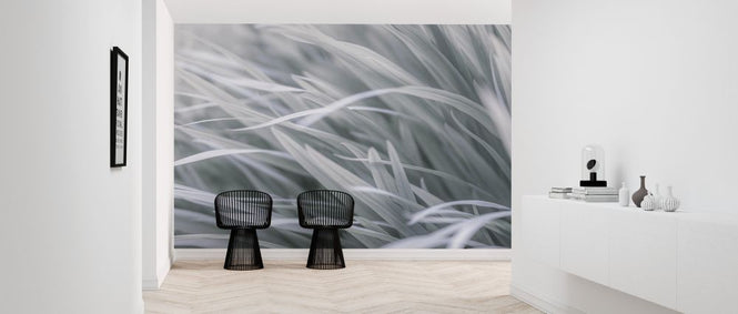 PHOTOWALL / Grass (e326455)