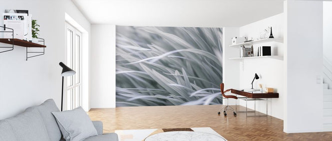 PHOTOWALL / Grass (e326455)