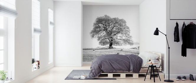 PHOTOWALL / Tree (e326470)