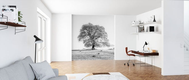 PHOTOWALL / Tree (e326470)