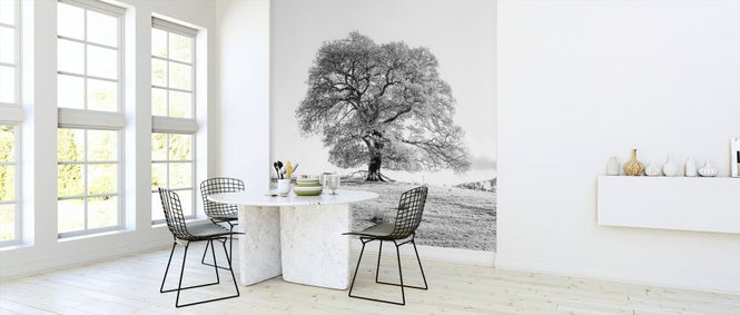 PHOTOWALL / Tree (e326470)