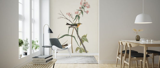 PHOTOWALL / Blackburnian Warbler (e324792)