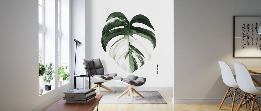 PHOTOWALL / Variegated Monstera (e324771)