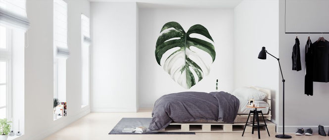 PHOTOWALL / Variegated Monstera (e324771)