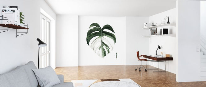 PHOTOWALL / Variegated Monstera (e324771)