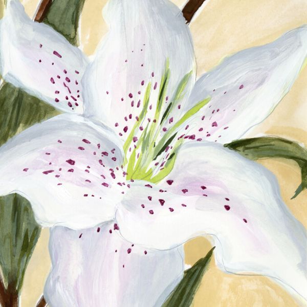 PHOTOWALL / White Lily (e324774)