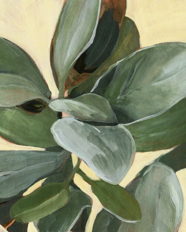 PHOTOWALL / Plant Study (e324775)
