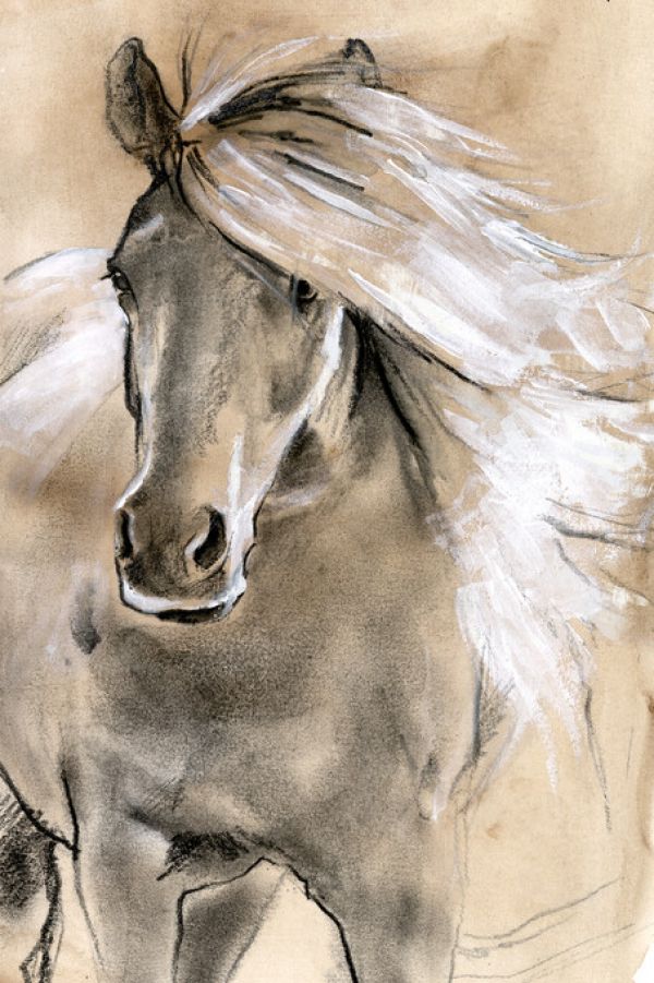 PHOTOWALL / Sketched Horse (e324945)