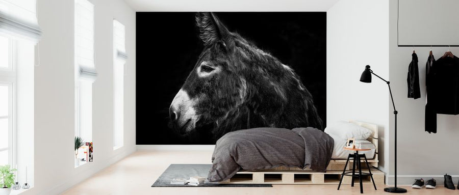 PHOTOWALL / Donkey Portrait (e324957)
