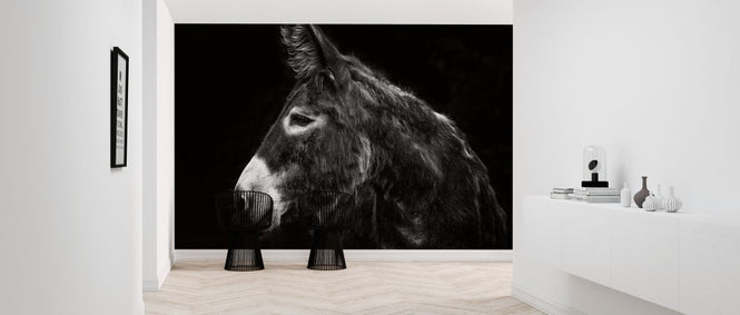 PHOTOWALL / Donkey Portrait (e324957)
